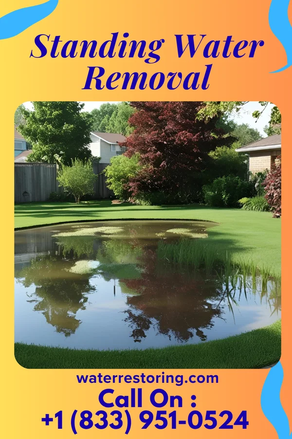 Standing Water Removal in Copperton, UT